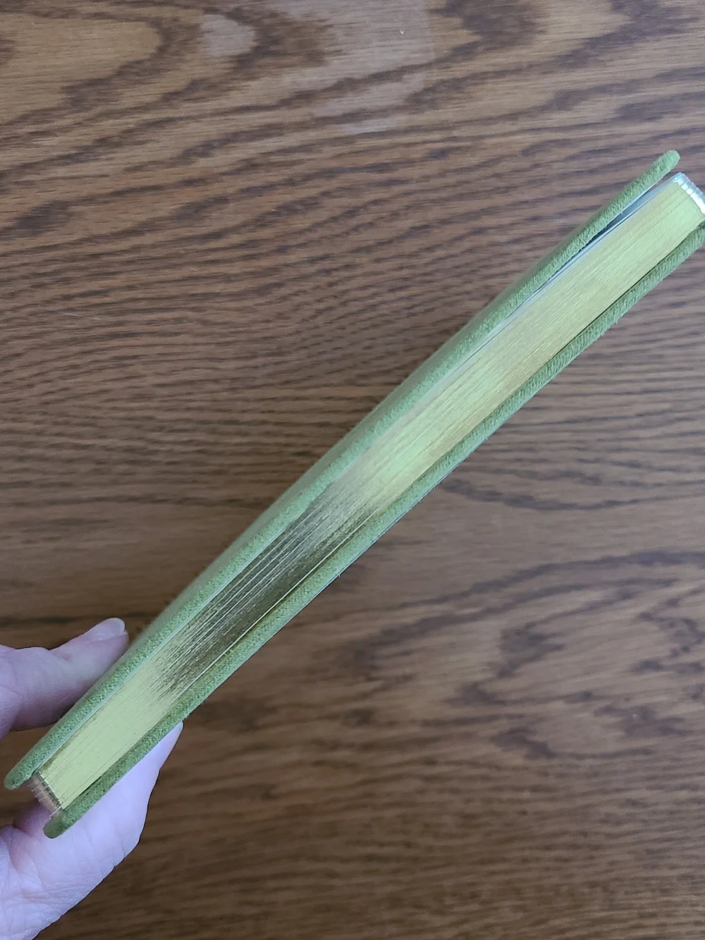 Threshold Olive Green Spiral Notebook with Gold Foil Accent